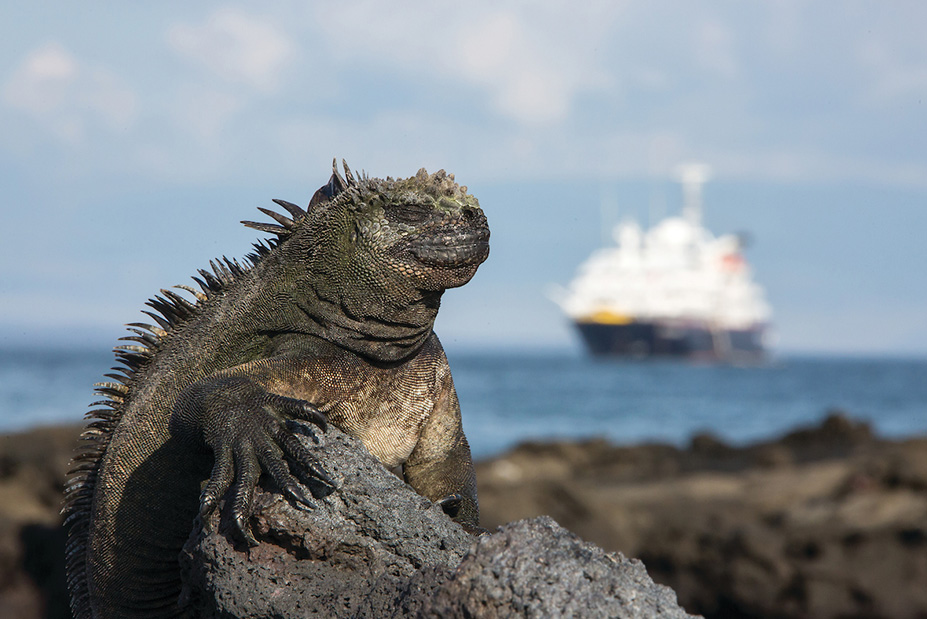 The Galápagos Islands Expedition Cruise | Silversea Cruises | 7 Days | Year-Round